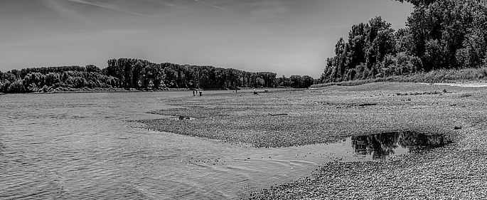 Rhein bei Niedrigwasser